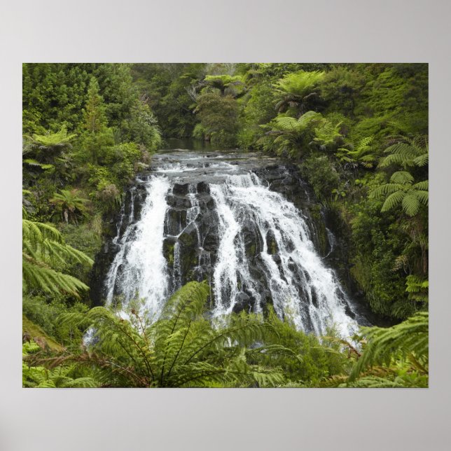 Owharoa Falls, Karangahake Gorge, in der Nähe von  Poster (Vorne)