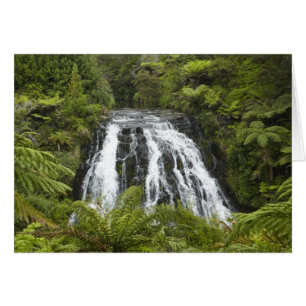 Owharoa Falls, Karangahake-Schlucht, nahe Paeroa,
