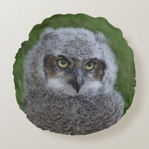 Owl_20180215_by_JAMFoto Rundes Kissen
