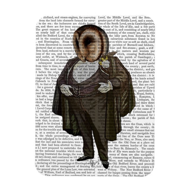 Owl an der Oper Magnet (Vertikal)