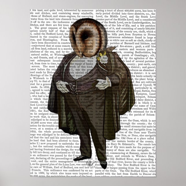 Owl an der Oper Poster (Vorne)