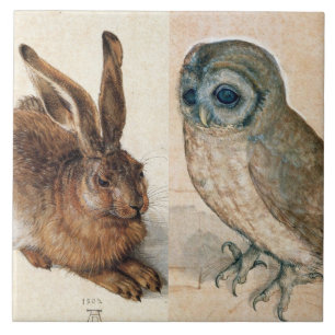 OWL AND RABBIT (Young Hare) von Albrect Durer Fliese