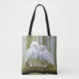 Owl Animal Nature Zuneigung