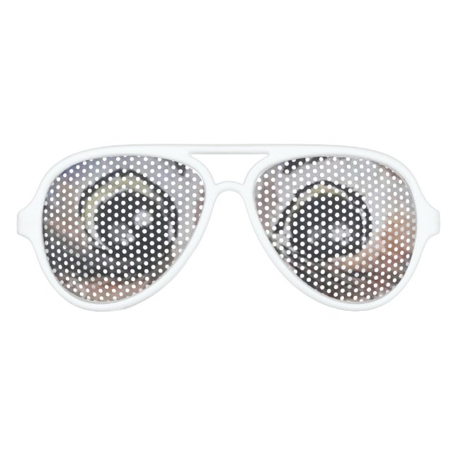 Owl Aviator Sonnenbrille Big Eyes (Vorderseite)