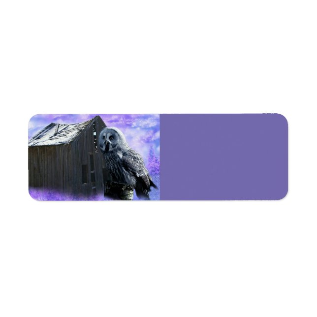Owl Barn Shed (Vorne)