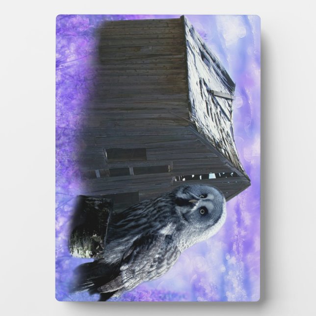 Owl Barn Shed Fotoplatte (Vorderseite)
