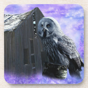 Owl Barn Shed Getränkeuntersetzer