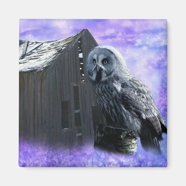 Owl Barn Shed Magnet (Vorne)
