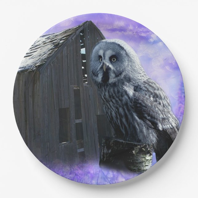 Owl Barn Shed Pappteller (Vorderseite)
