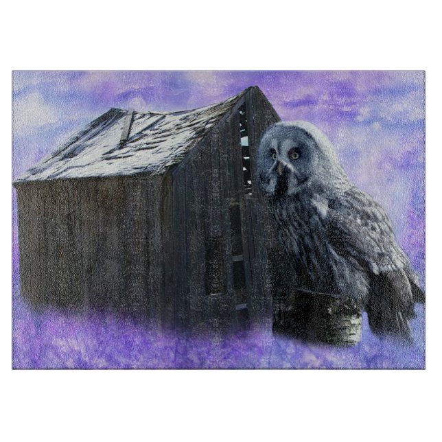 Owl Barn Shed Schneidebrett (Vorderseite)