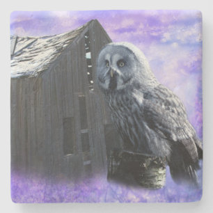 Owl Barn Shed Steinuntersetzer
