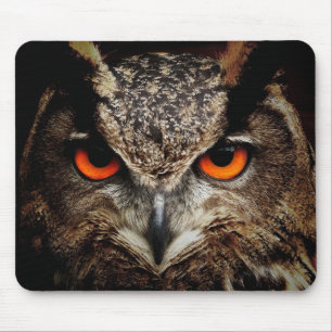 Owl Beauty Mousepad