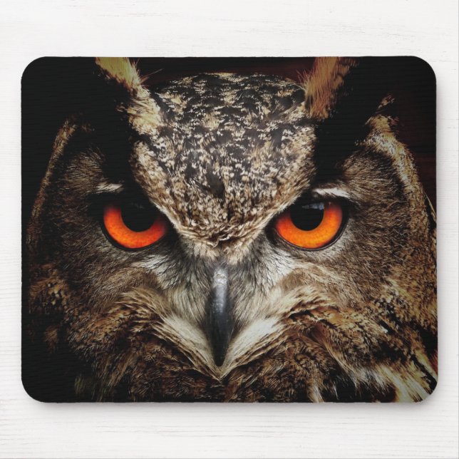 Owl Beauty Mousepad (Vorne)