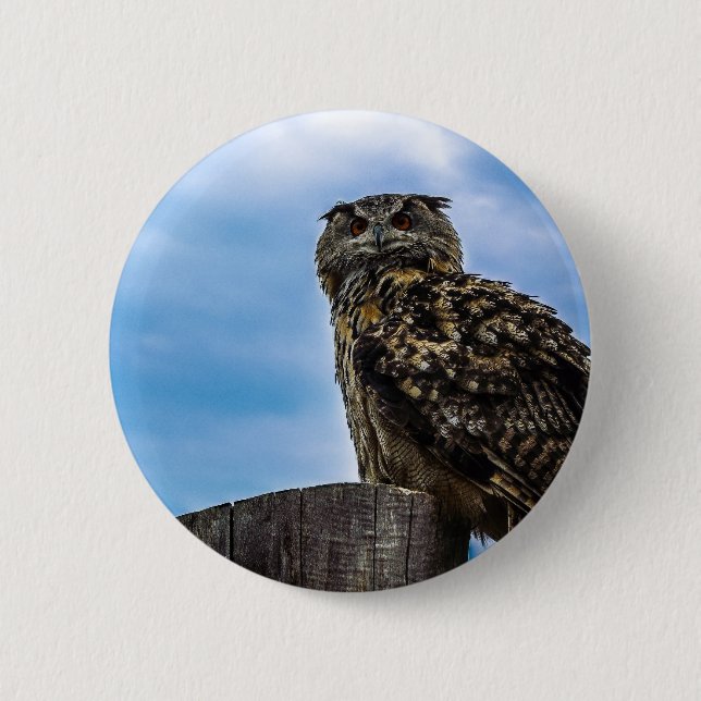 Owl Bird Feathers Animal Nature Destiny Peace Love Button (Vorderseite)