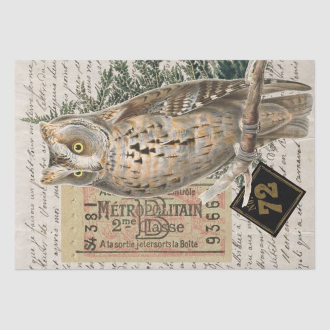 Owl Bird Französisches Skript Ephemera Decoupage Seidenpapier (Vorderseite)