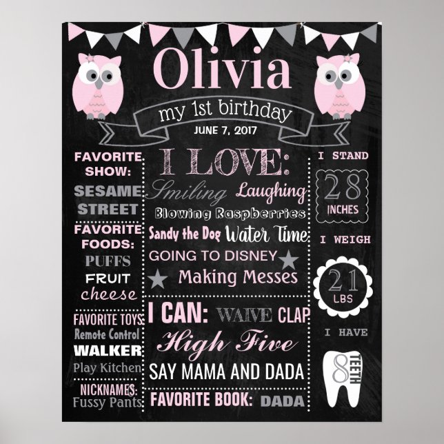 Owl Birthday Party chalkboard Schild Plakat (Vorne)
