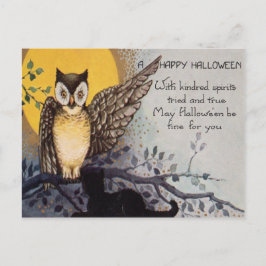 Owl Black Cat Full Moon Tree Night Postkarte