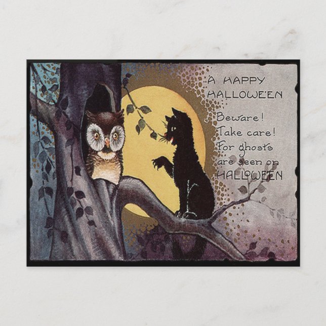 Owl Black Cat Full Moon Tree Night Postkarte (Vorderseite)
