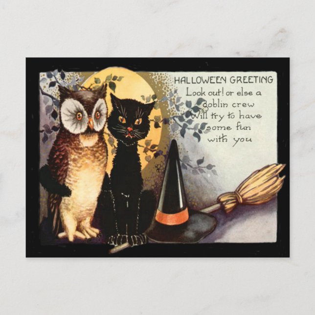 Owl Black Cat Vollmond Hexe hat einen Hutschlauch Postkarte (Vorderseite)