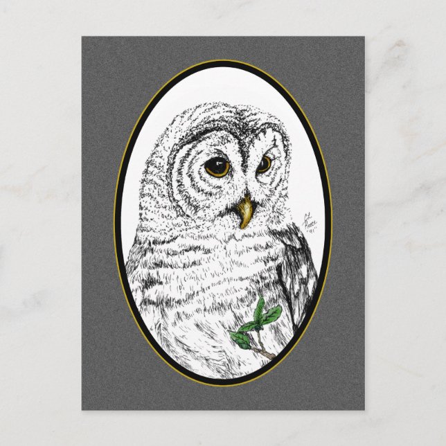 Owl Cameo Postcard Postkarte (Vorderseite)