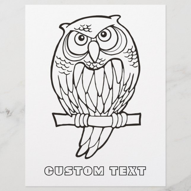 Owl Cartoon Colour Book Page (Vorderseite)
