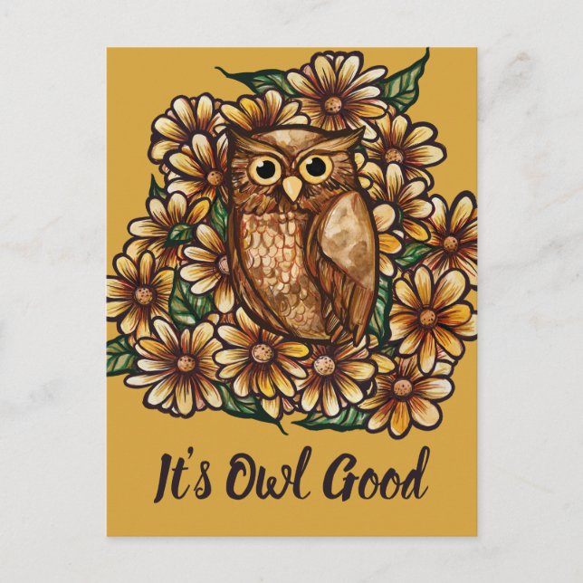 Owl daisies                                        postkarte (Vorderseite)