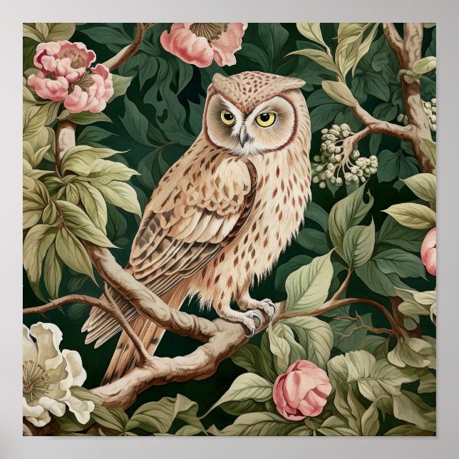 Owl Decorative Malerei Poster (Vorne)