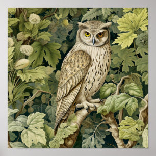 Owl Decorative Malerei Poster