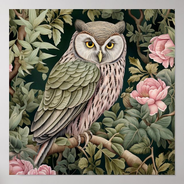 Owl Decorative Malerei Poster (Vorne)