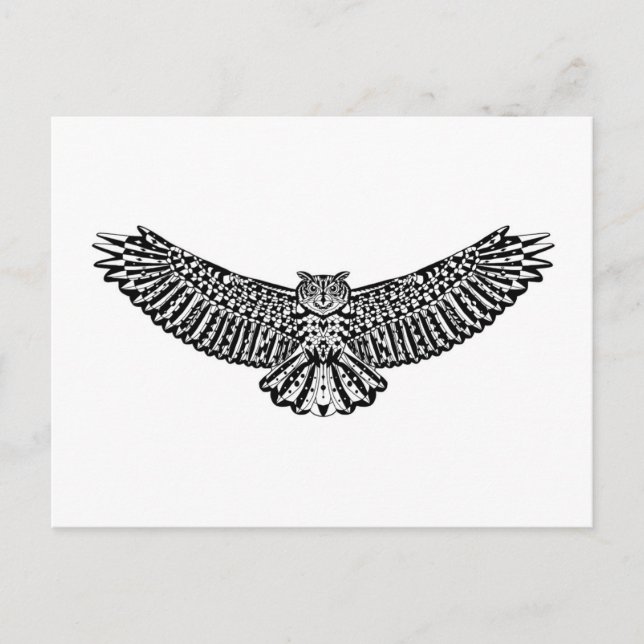 Owl Doodle Postkarte (Vorderseite)