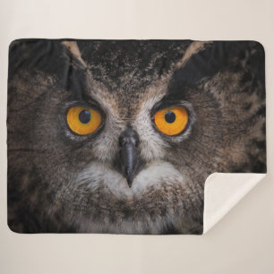 OWL EYES SHERPADECKE