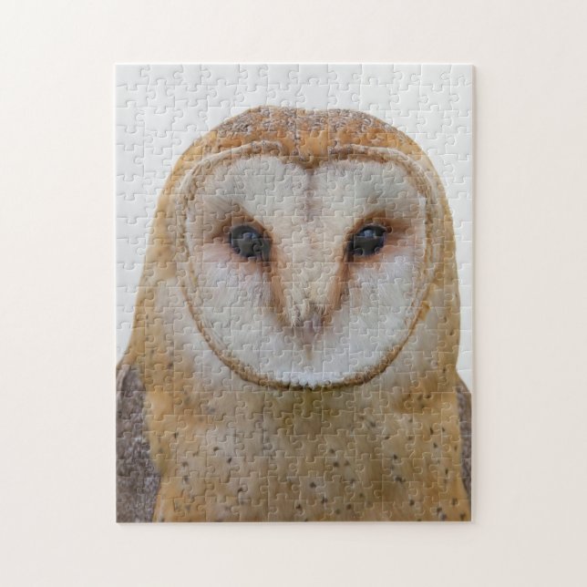 Owl Face Bird Wildlife Puzzle (Vertikal)