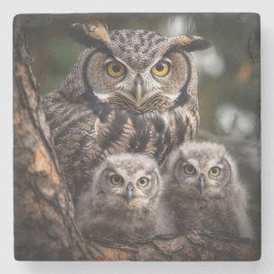 Owl Family Stone Untersetzer