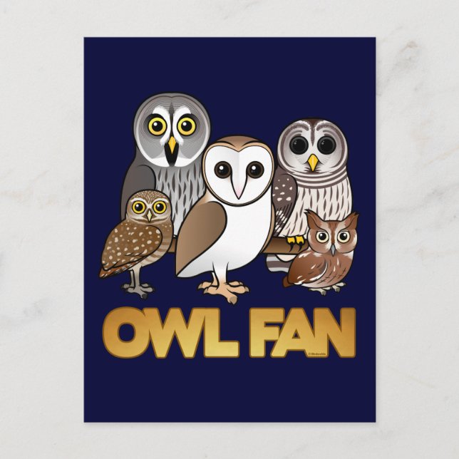 Owl Fan Postkarte (Vorderseite)