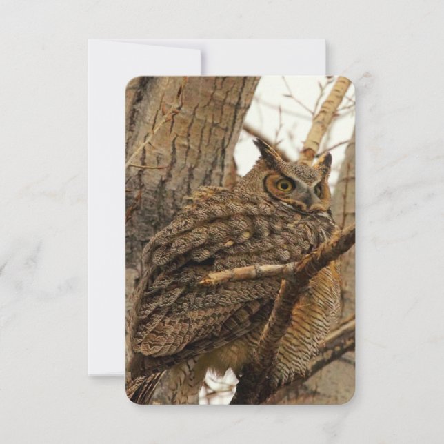 Owl Flat Notecard Dankeskarte (Vorderseite)