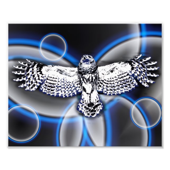 Owl Fotodruck (Vorne)