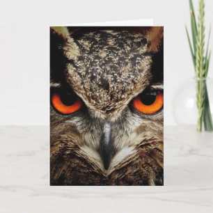 OWL Fotografie BIRTHAY CARD Karte