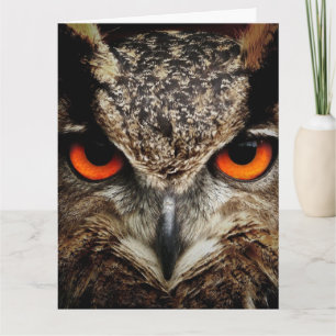 OWL Fotografy Oversified BIRTHDAY CARD Karte