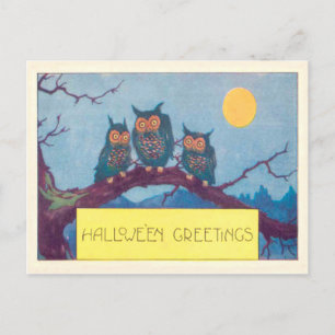 Owl Full Moon Tree Postkarte