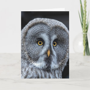 OWL FUNNY NIEDLICHE GEBURTSTAG CARD KARTE