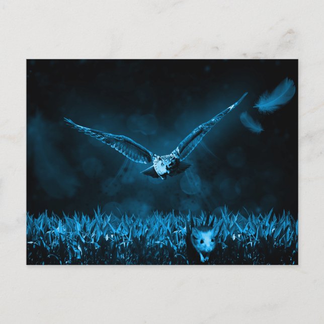 Owl Hunt Fantasy Night Postkarte (Vorderseite)