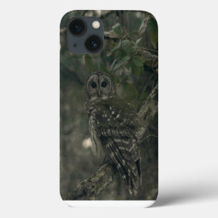 Owl in Forest IPhone Fälle Case-Mate iPhone Hülle