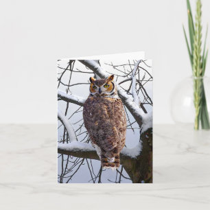 "Owl in Winter" Note Card
