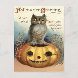 Owl Jack O Lantern Pumpkin Postkarte