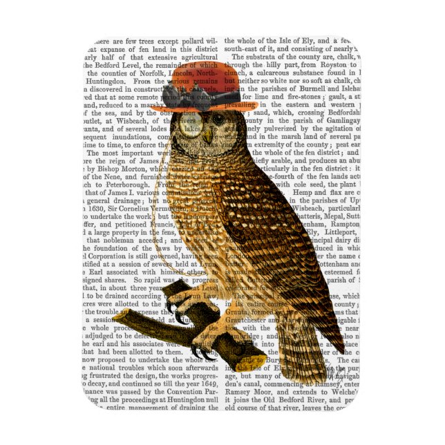 Owl mit Steampunk Style Bowler Hat Magnet (Vertikal)
