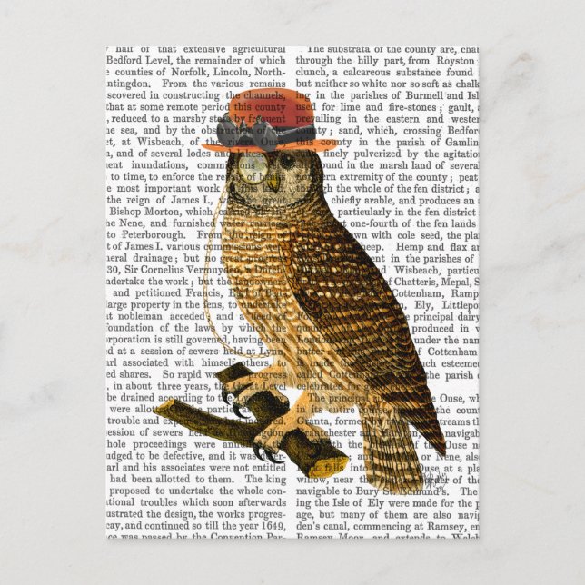 Owl mit Steampunk Style Bowler Hat Postkarte (Vorderseite)