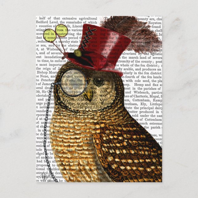 Owl mit Top Hat 3 Postkarte (Vorderseite)