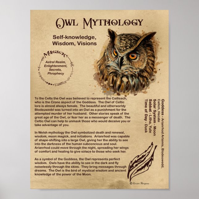 OWL MYTHOLOGY POSTER (Vorne)
