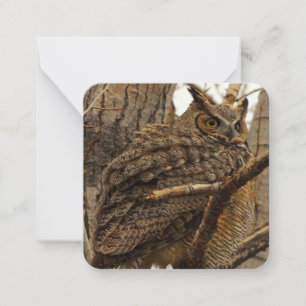 Owl Note Card Mitteilungskarte