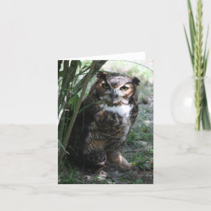 Owl Notecard Karte